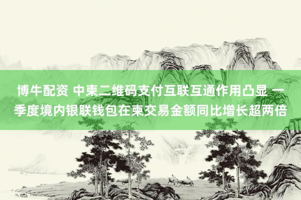 博牛配资 中柬二维码支付互联互通作用凸显 一季度境内银联钱包在柬交易金额同比增长超两倍
