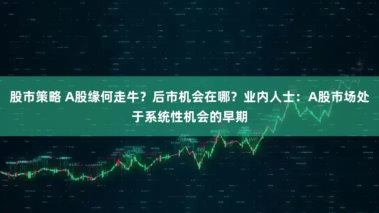 股市策略 A股缘何走牛？后市机会在哪？业内人士：A股市场处于系统性机会的早期