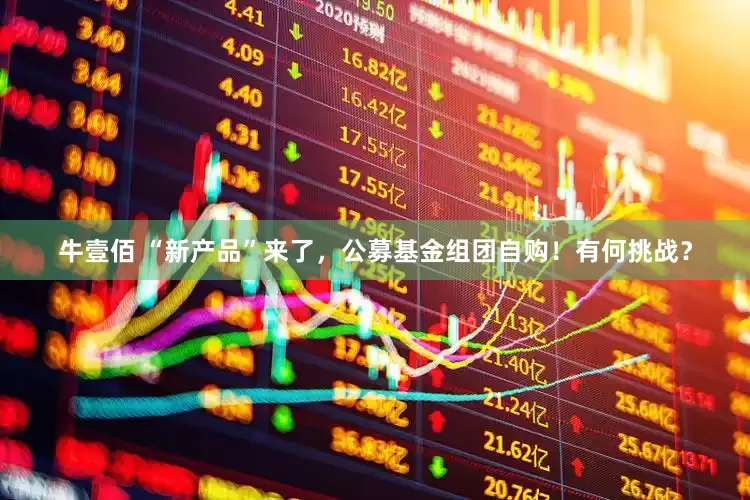 牛壹佰 “新产品”来了，公募基金组团自购！有何挑战？
