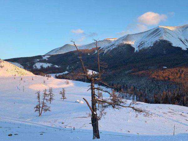 财牛股配 文旅迈入3.0时代：来一场说走就走的情绪文旅